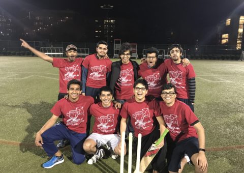 B league Cricket Champions GAME